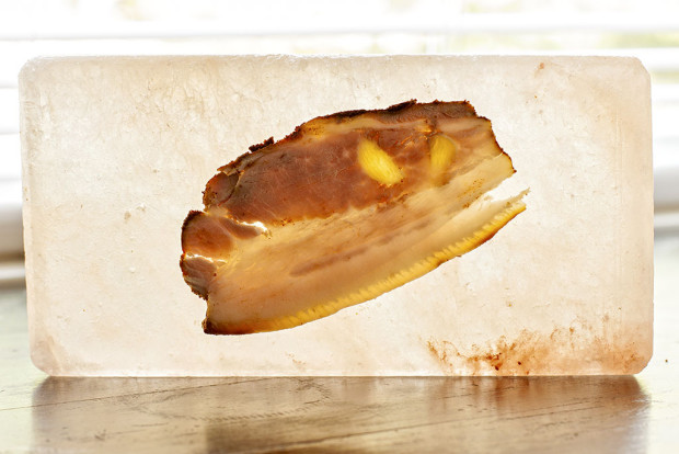 Sliced-pork-belly-against-salt-block
