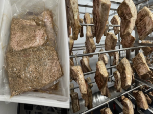 4 Pound Pack Pancetta